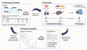 Optimizing multicellular models for HTS