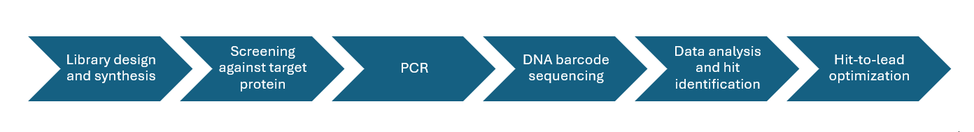 DEL Screening Workflow