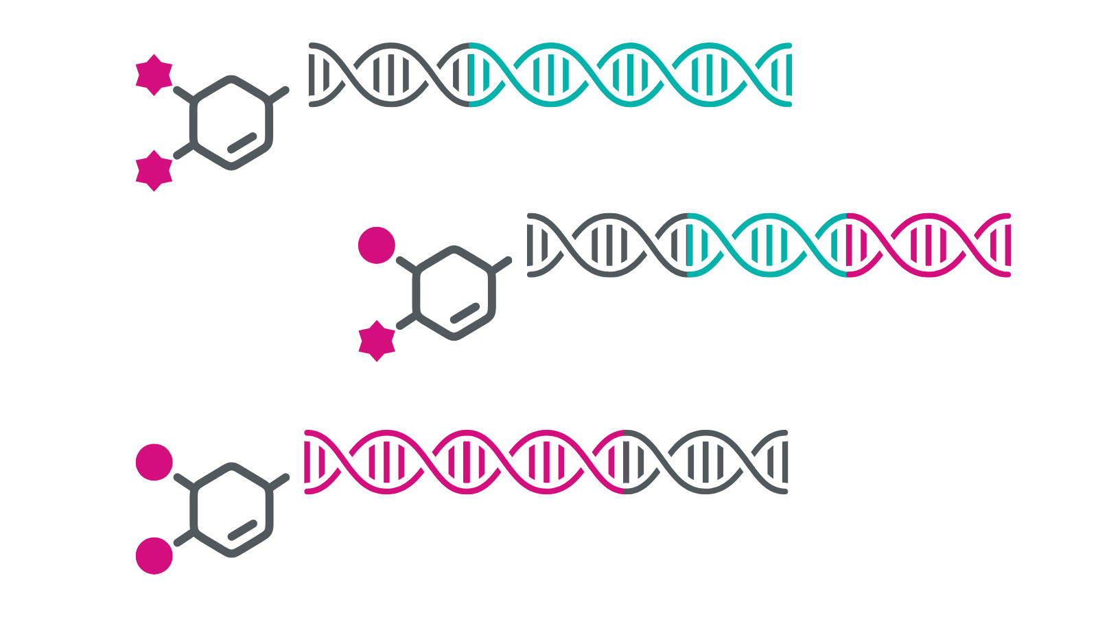 DNA encoded libraries