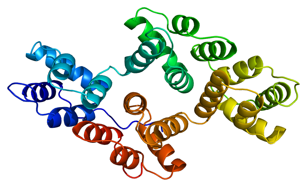 Protein_ANXA5_PDB_1a8a